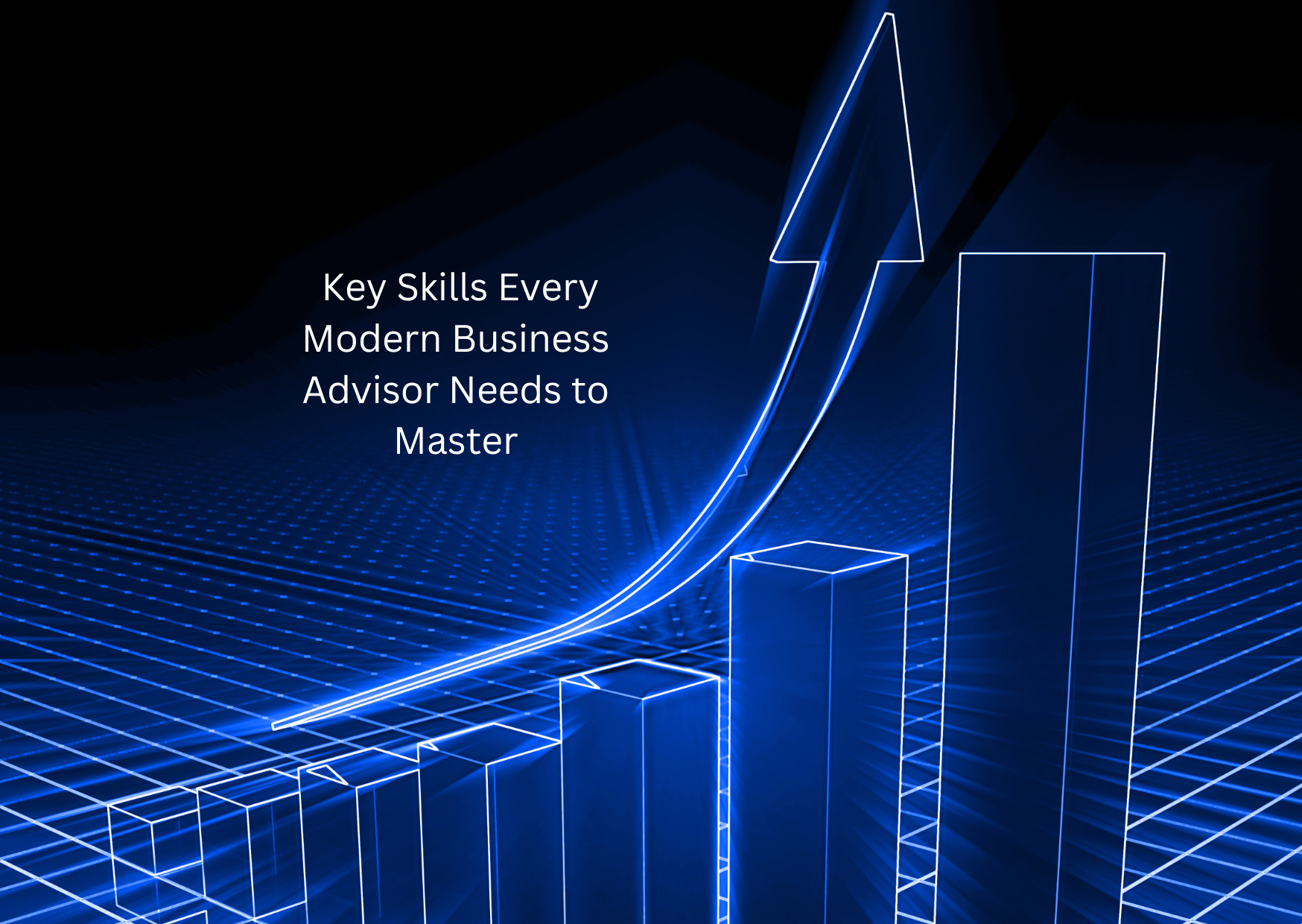 Salma Karina Hayat - Key Skills Every Modern Business Advisor Needs to Master