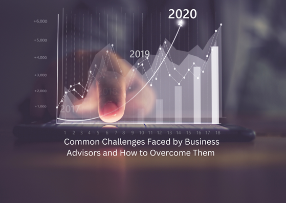 Salma Karina Hayat - Common Challenges Faced by Business Advisors and How to Overcome Them