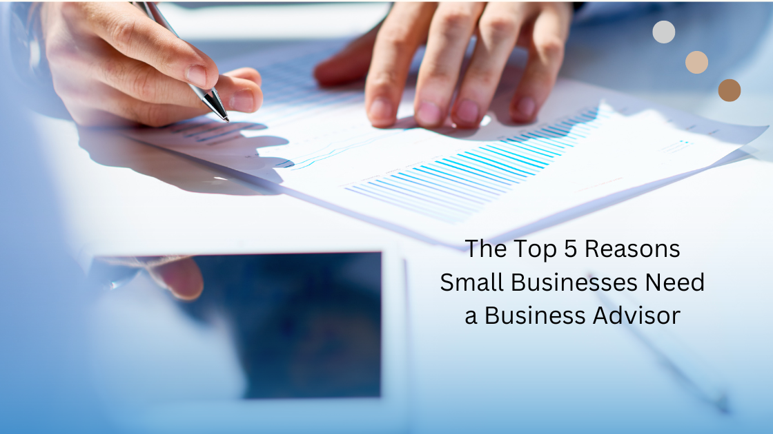 Salma Karina Hayat – The Top 5 Reasons Small Businesses Need a Business Advisor